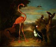 Jakob Bogdani Flamingo and Other Birds in a Landscape Germany oil painting artist